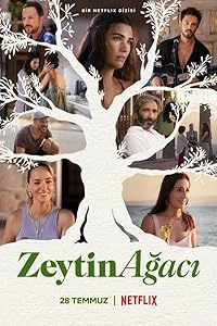 Zeytin Ağacı