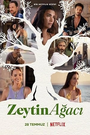 Zeytin Ağacı