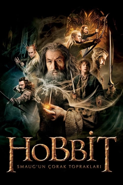 Hobbit: Smaug'un Çorak Toprakları